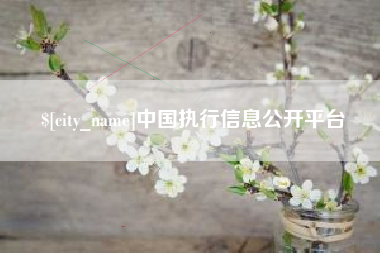 南通中国执行信息公开平台