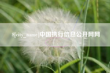 南通中国执行信息公开网网
