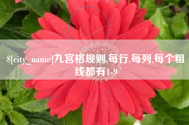 南通九宫格规则,每行,每列,每个粗线都有1-9