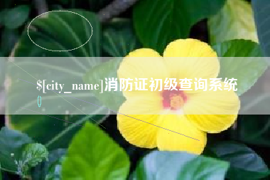 南通消防证初级查询系统