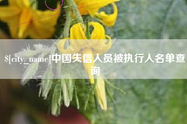 南通中国失信人员被执行人名单查询