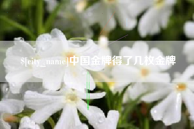 南通中国金牌得了几枚金牌