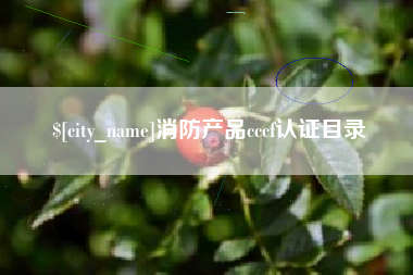 南通消防产品cccf认证目录