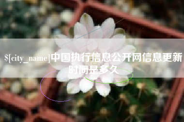 南通中国执行信息公开网信息更新时间是多久