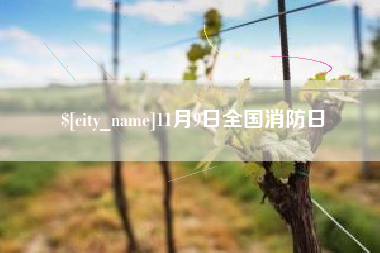 南通11月9日全国消防日
