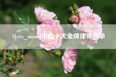 南通中国十大金牌律师名单