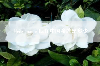 南通现在中国金牌是多少