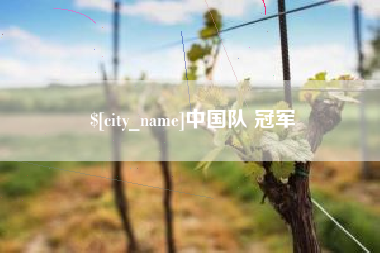 南通中国队 冠军