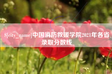 南通中国消防救援学院2021年各省录取分数线