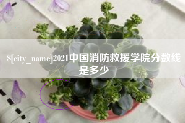 南通2021中国消防救援学院分数线是多少