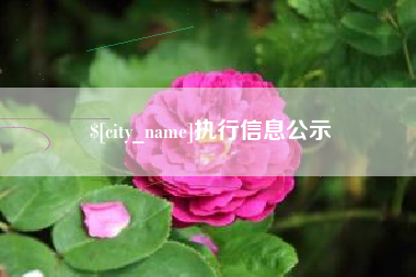 南通执行信息公示