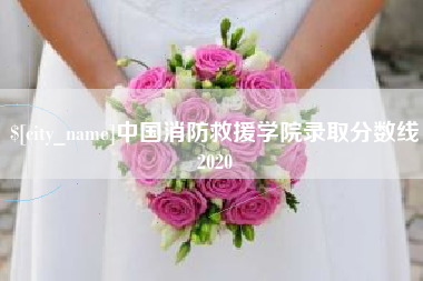 南通中国消防救援学院录取分数线2020