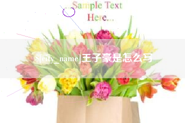 南通王子豪是怎么写