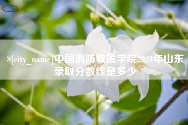 南通中国消防救援学院2021年山东录取分数线是多少