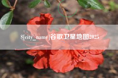 南通谷歌卫星地图2025