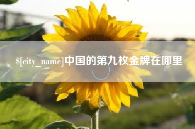 南通中国的第九枚金牌在哪里