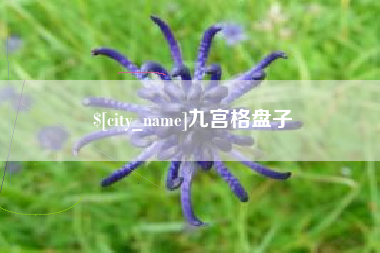 南通九宫格盘子
