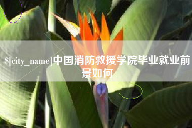 南通中国消防救援学院毕业就业前景如何