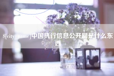 南通中国执行信息公开网是什么东西