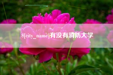 南通有没有消防大学
