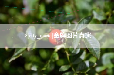 南通金牌图片真实