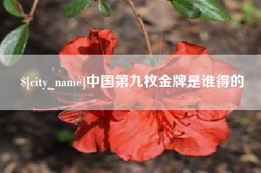 南通中国第九枚金牌是谁得的