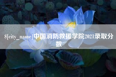 南通中国消防救援学院2021录取分数