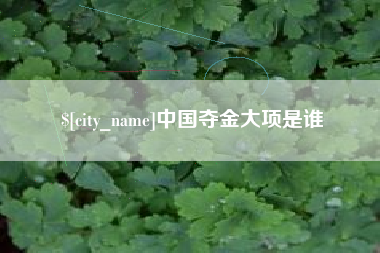 南通中国夺金大项是谁