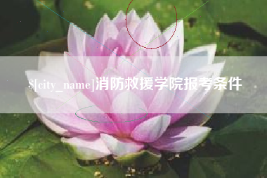 南通消防救援学院报考条件