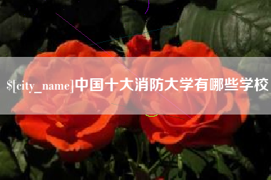 南通中国十大消防大学有哪些学校