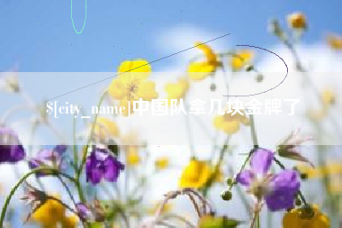 南通中国队拿几块金牌了