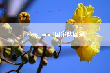 南通国家队图案