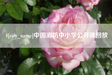 南通中国消防中小学公开课回放