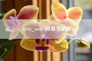 南通邱县王子磊