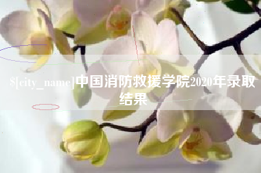 南通中国消防救援学院2020年录取结果
