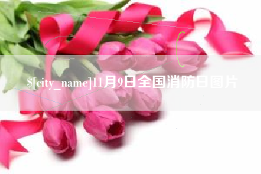 南通11月9日全国消防日图片
