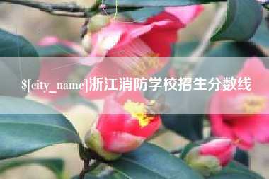 南通浙江消防学校招生分数线