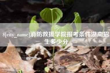 南通消防救援学院报考条件湖南招生多少分