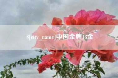 南通中国金牌18金