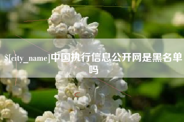 南通中国执行信息公开网是黑名单吗