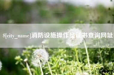 南通消防设施操作员证书查询网址