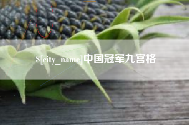 南通中国冠军九宫格