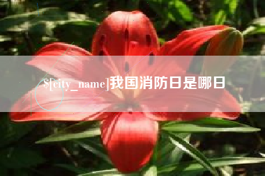南通我国消防日是哪日