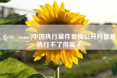 南通中国执行案件查询公开网都是执行不了得案子