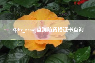 南通查消防资格证书查询