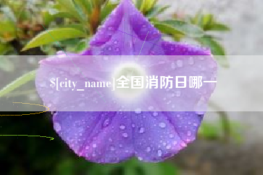 南通全国消防日哪一