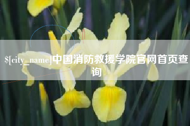 南通中国消防救援学院官网首页查询