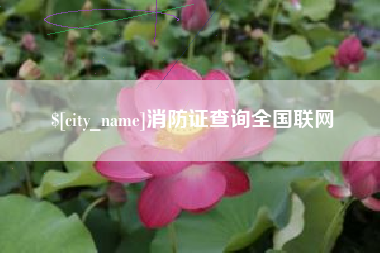 南通消防证查询全国联网