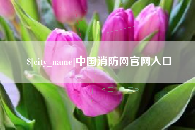 南通中国消防网官网入口