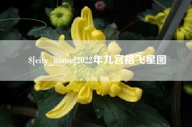 南通2022年九宫格飞星图